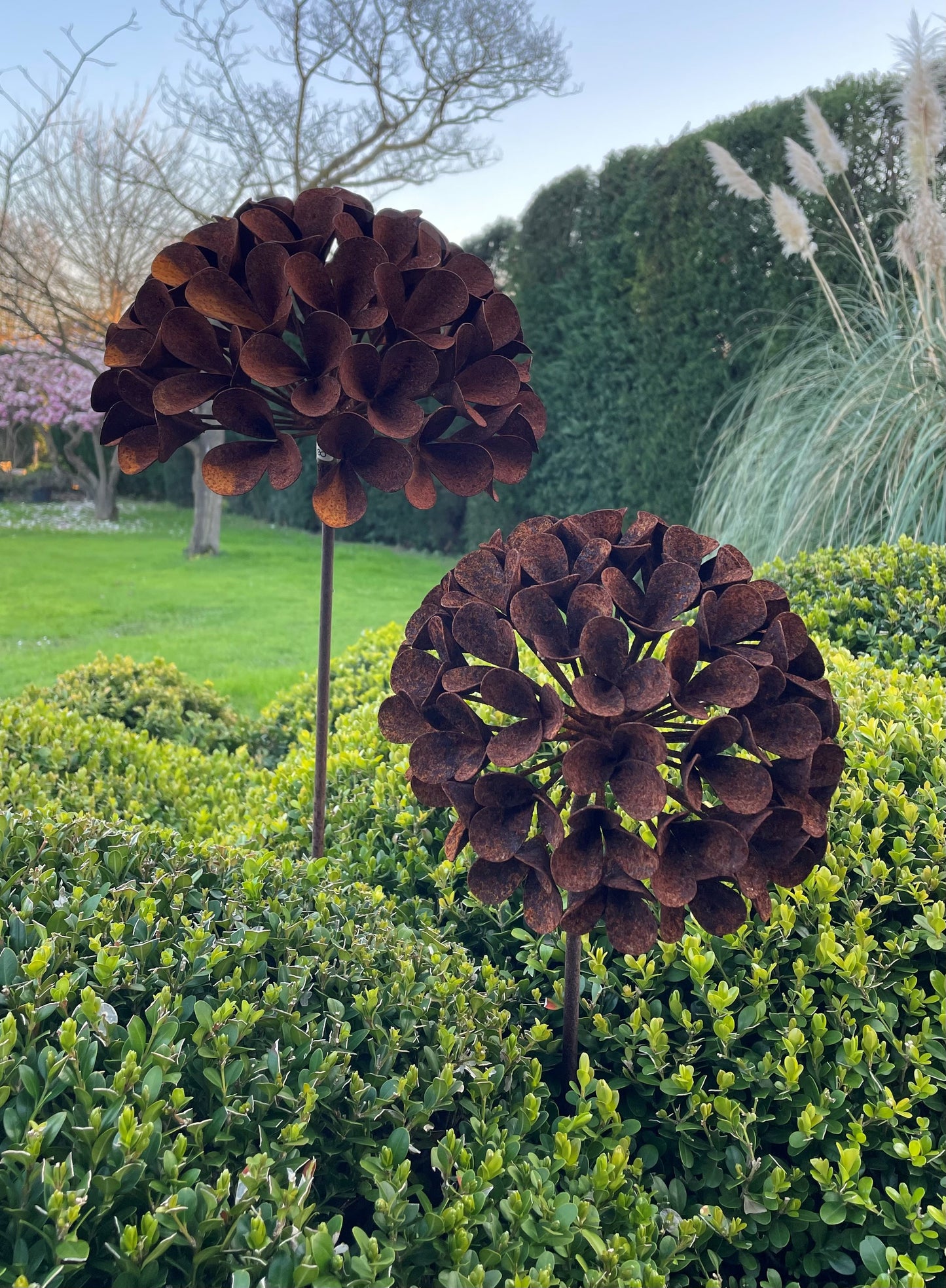 Viburnum L