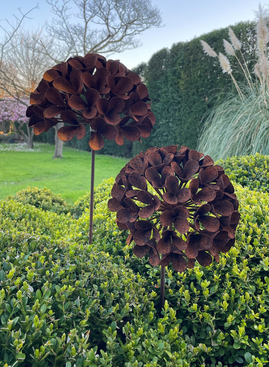 Viburnum L