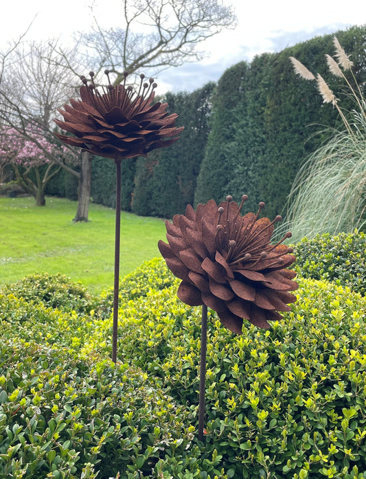 Peonia