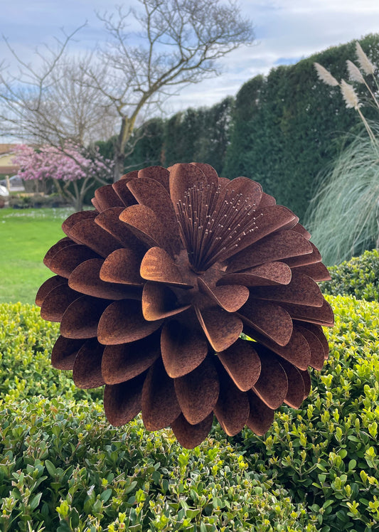 Dalia